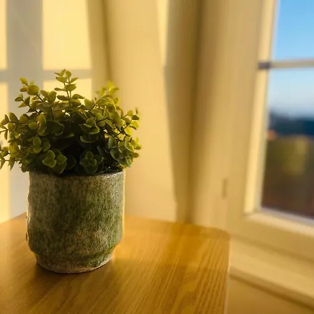 La Petite Echappee A 150m De La Appartement *